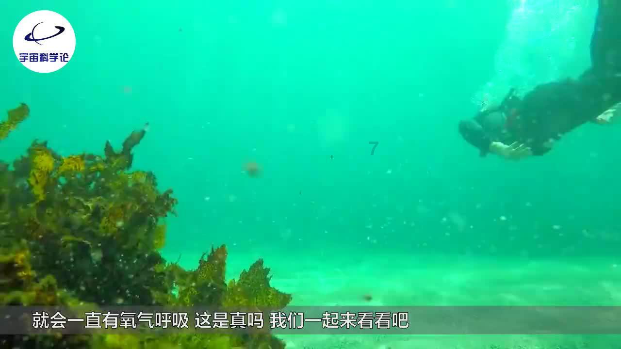本田缤智变速箱加油口冒油怎么回事？游戏画面