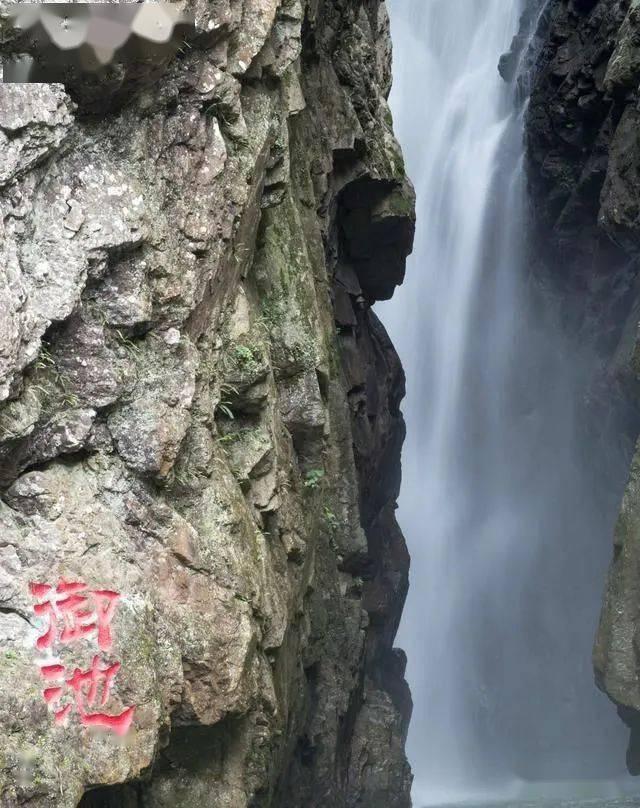逗小猴开心系列163